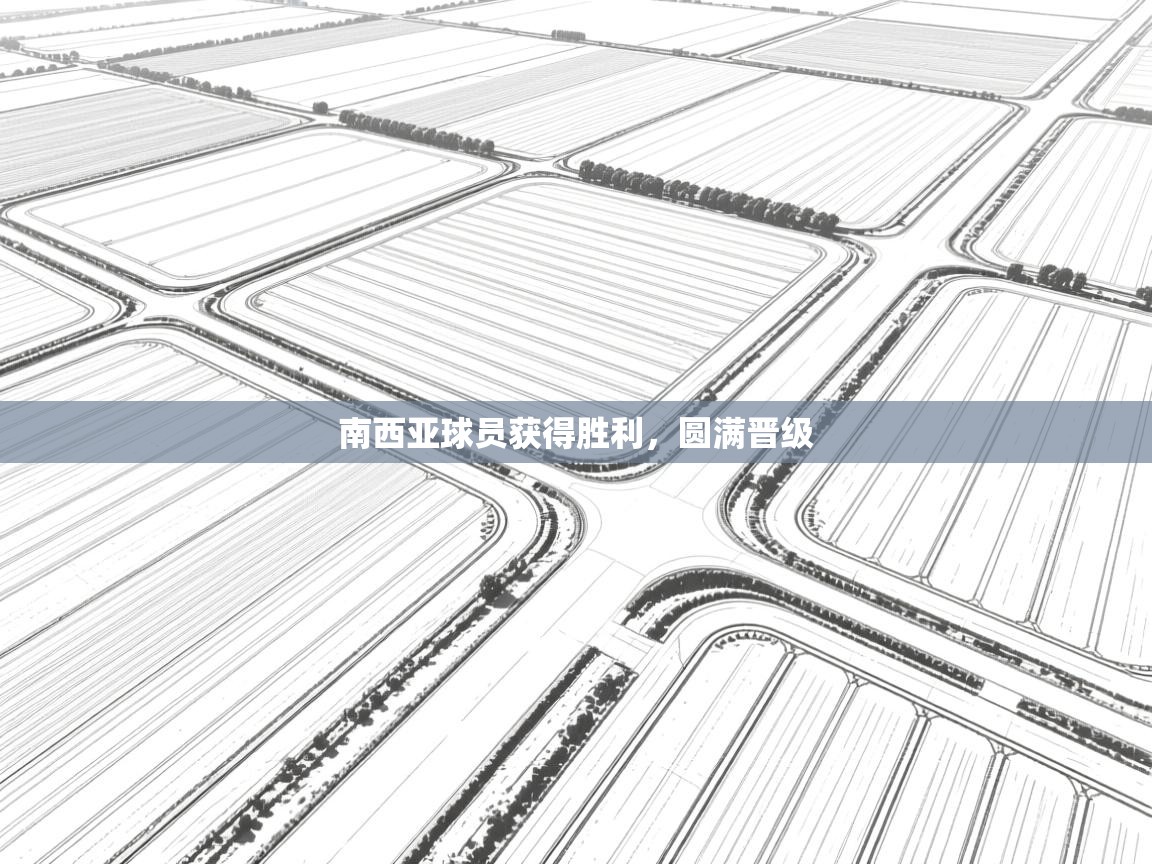 南西亚球员获得胜利，圆满晋级  第2张