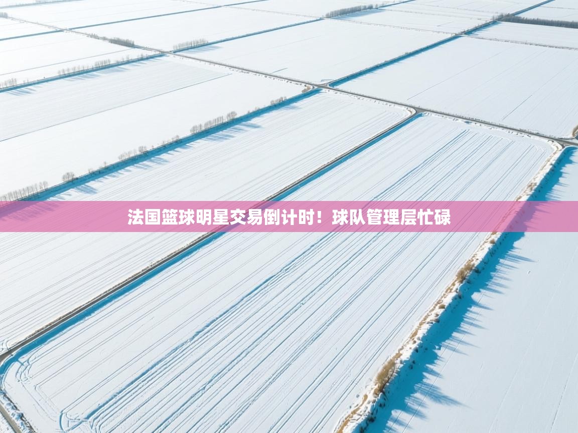 法国篮球明星交易倒计时！球队管理层忙碌  第1张