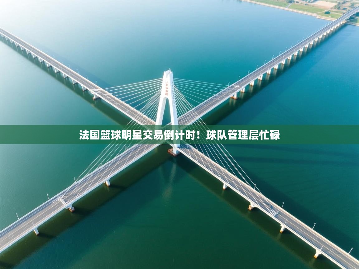 法国篮球明星交易倒计时！球队管理层忙碌  第2张