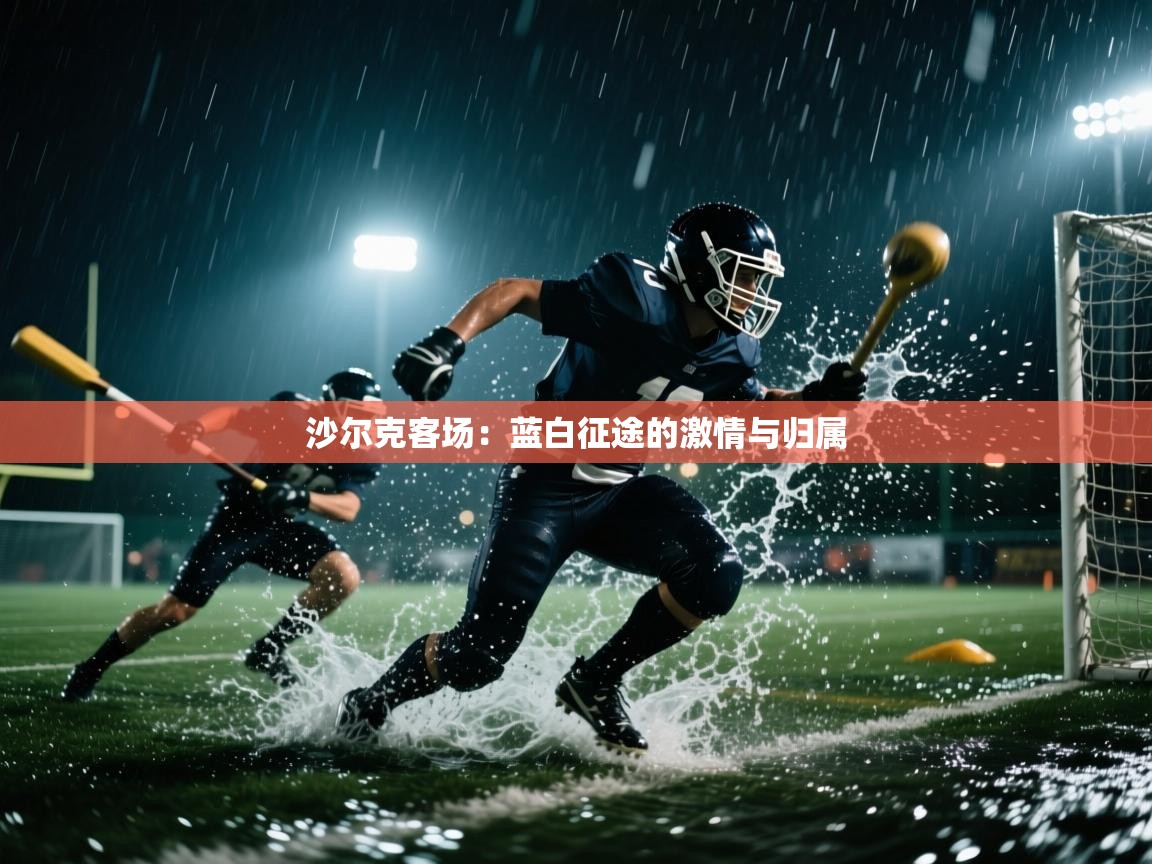沙尔克客场:蓝白征途的激情与归属 第1张