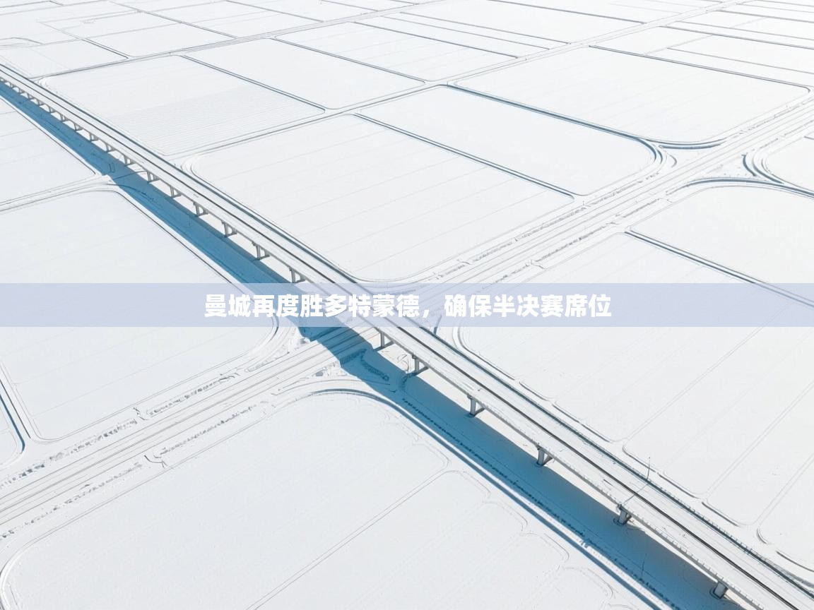 曼城再度胜多特蒙德，确保半决赛席位  第2张