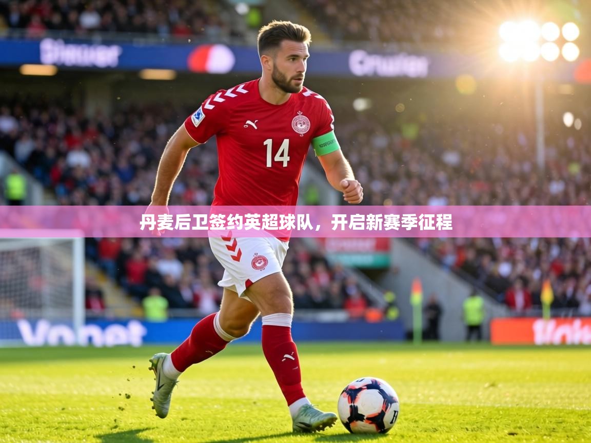 丹麦后卫签约英超球队，开启新赛季征程  第1张