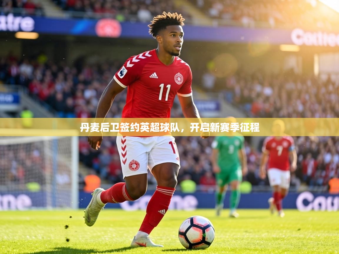 丹麦后卫签约英超球队，开启新赛季征程  第2张